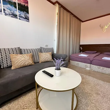 Apartment St Ivan Rilski